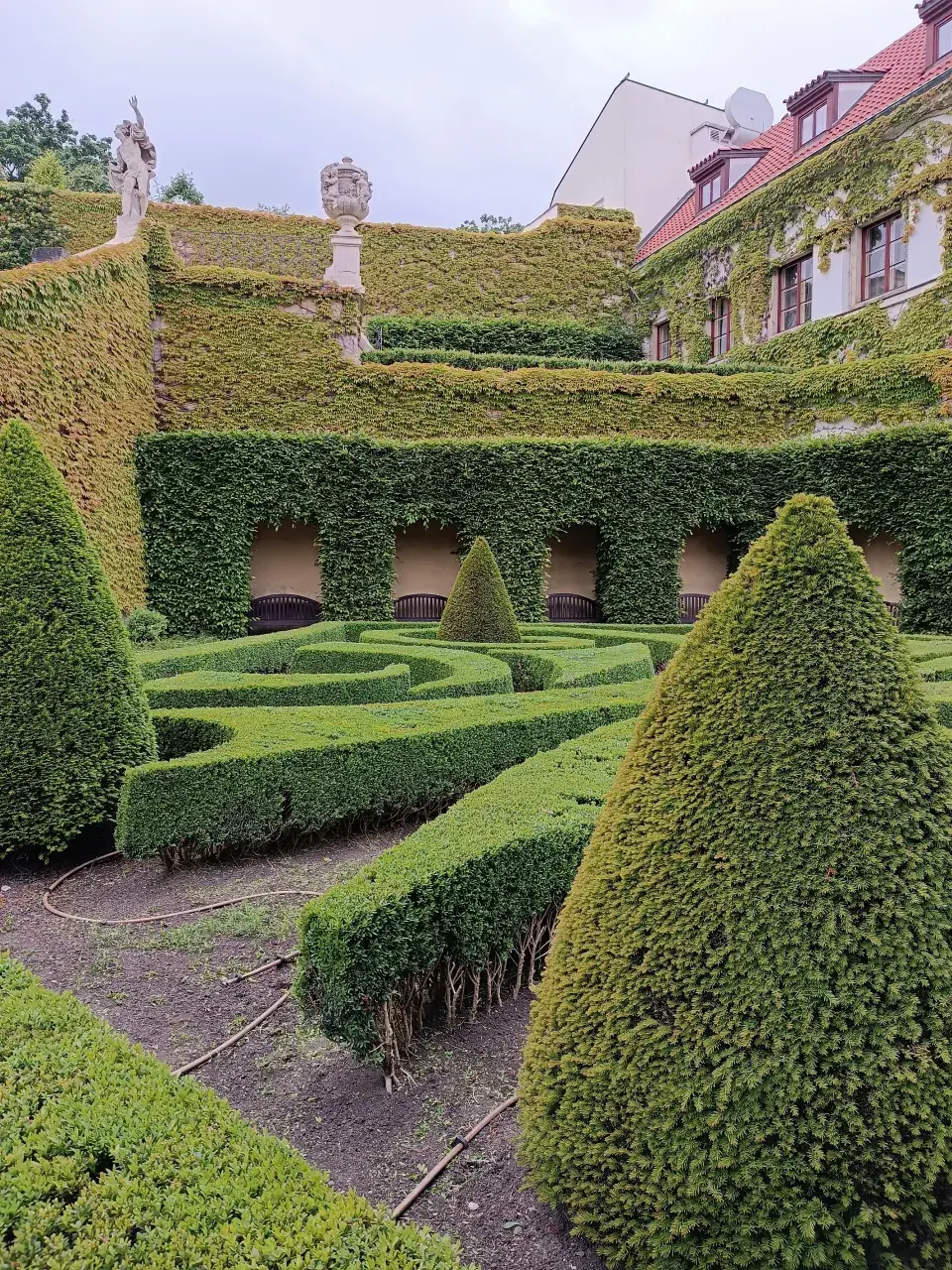 Asymetrické geometrické tvary vymodelované z buxusů 