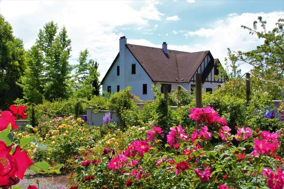 Babiččiny zahrádky 