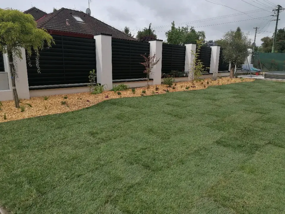 Čerstvě položený travní koberec