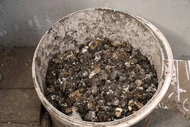 Slepičí trus jako hnojivo