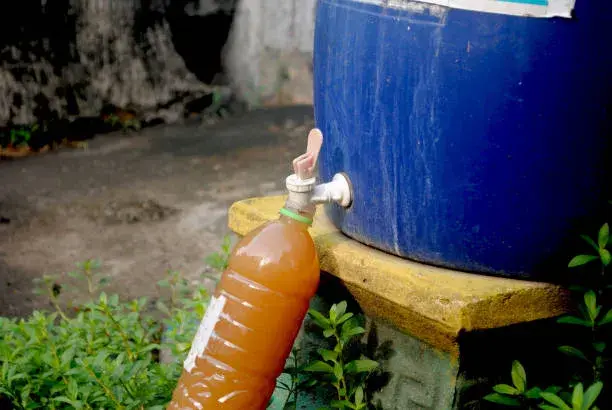 Slepičí trus jako hnojivo