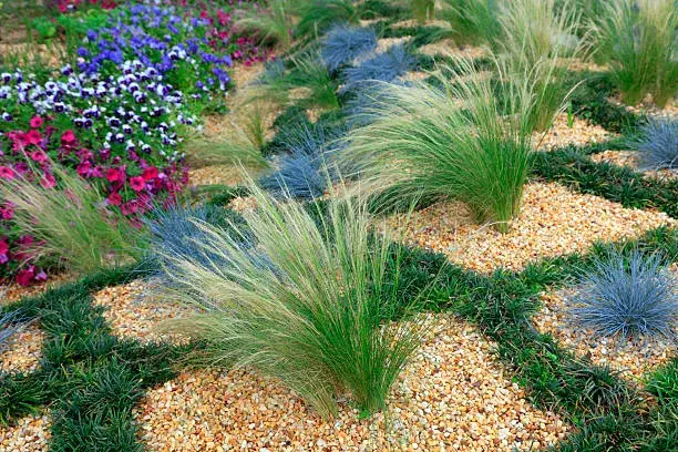 Nejkrásnější skalničky