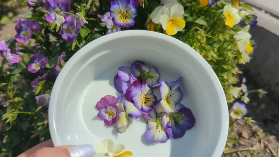 DIY: Záložka do knihy