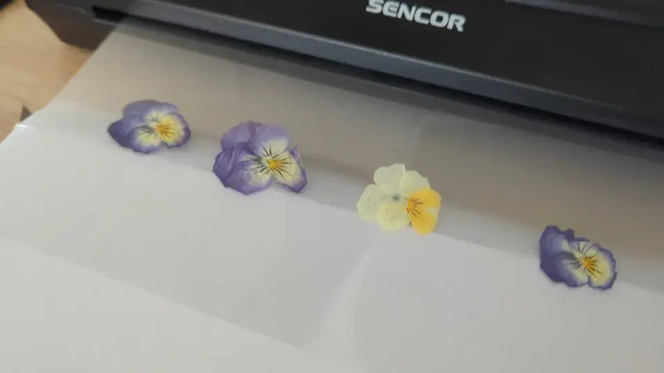 DIY: Záložka do knihy