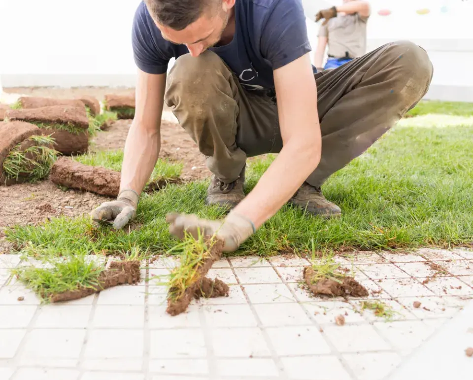 Pokládka travního koberce