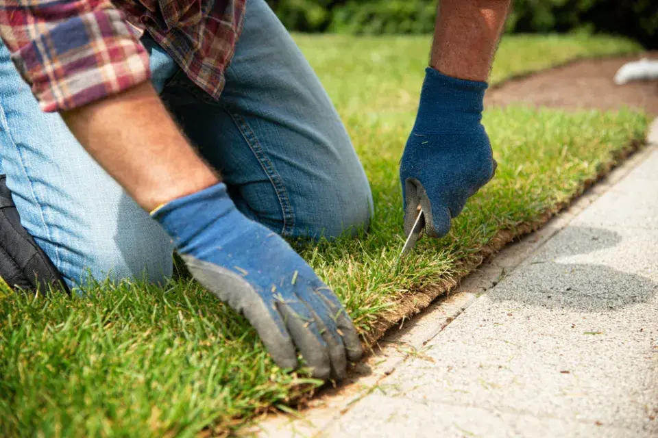 Pokládka travního koberce