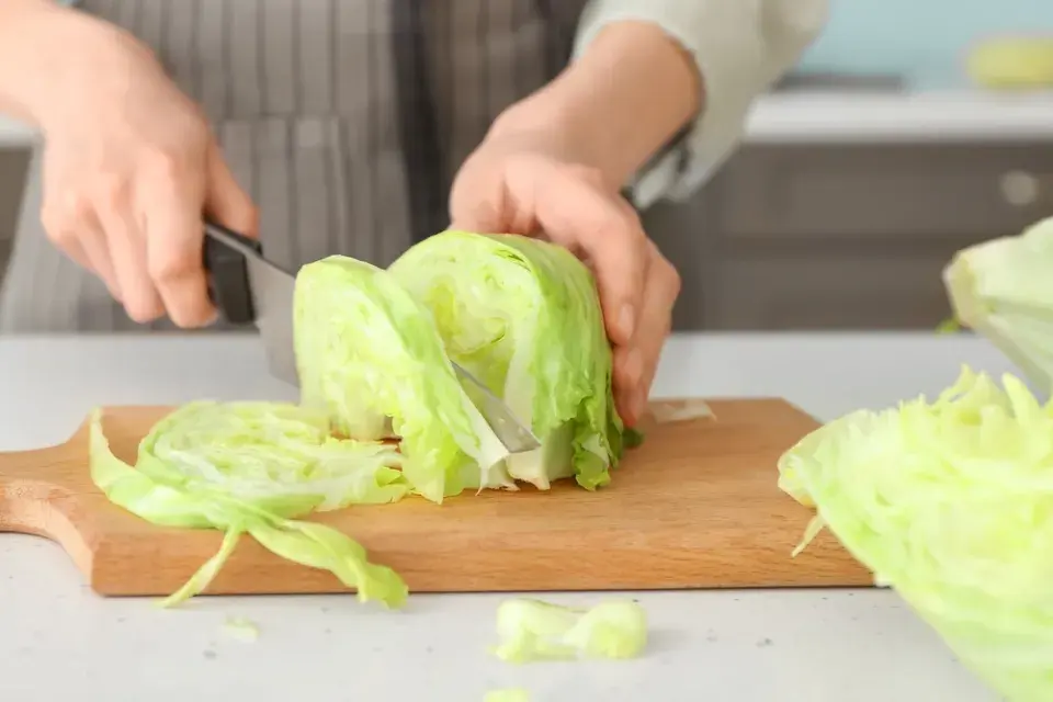 Ledový salát (Lactuca sativa var. Capitata)