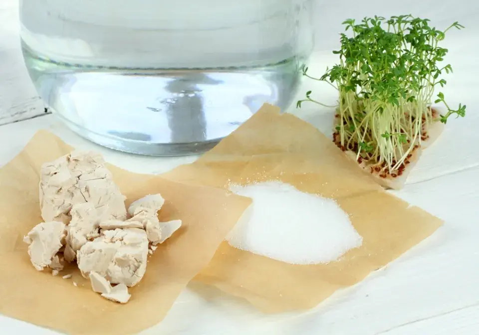 Droždí je rovněž dobré hnojivo