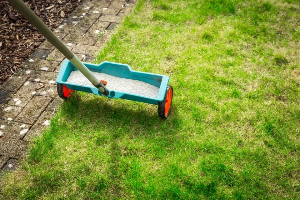 Je čas trávník hnojit