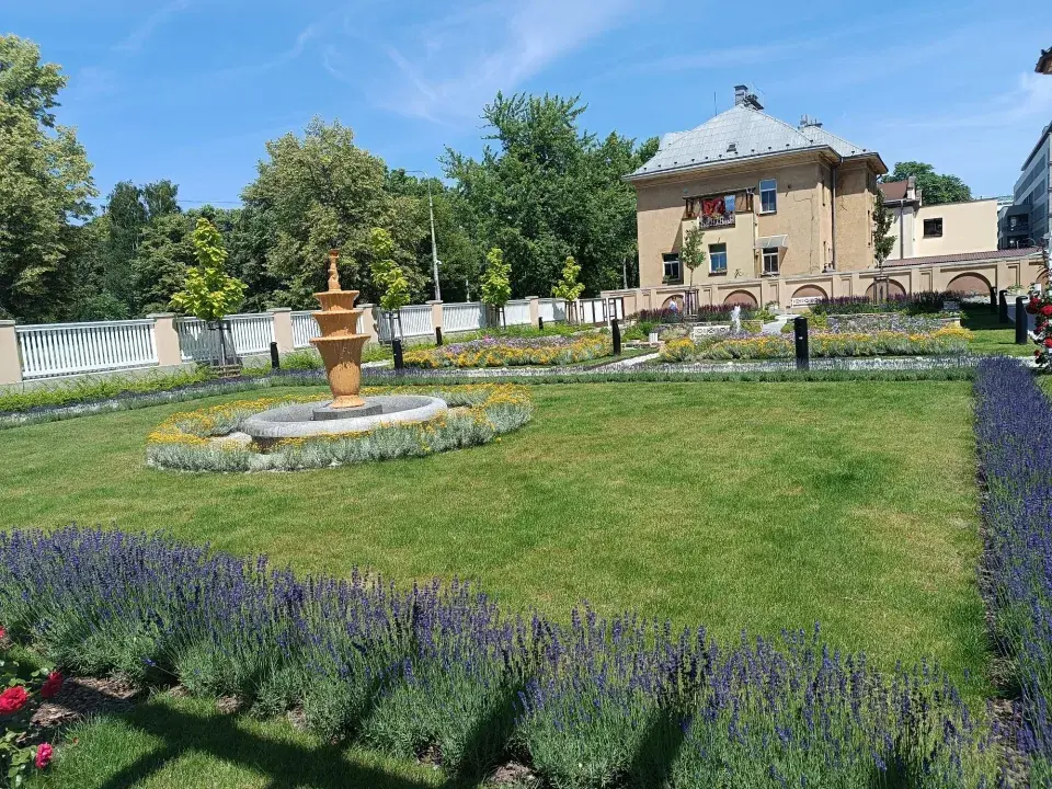 Záhony s levandulí 