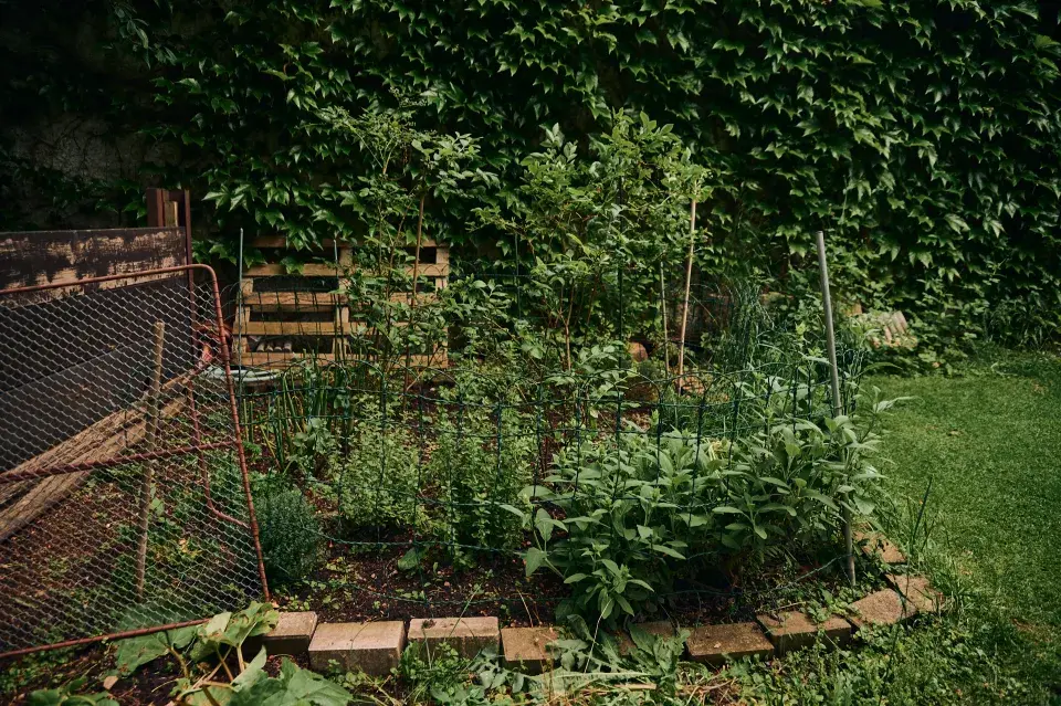 Zahrada Heleny Vondráčkové