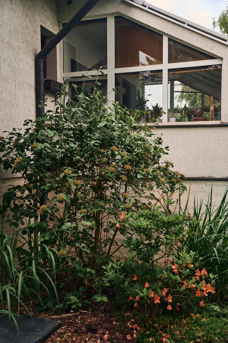 Zahrada Heleny Vondráčkové