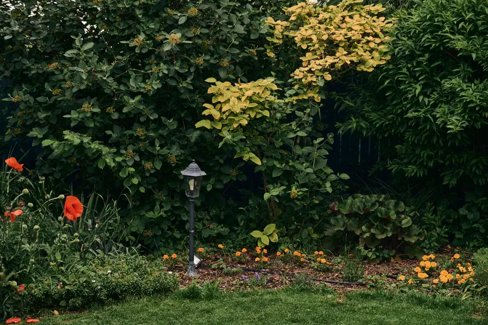 Zahrada Heleny Vondráčkové