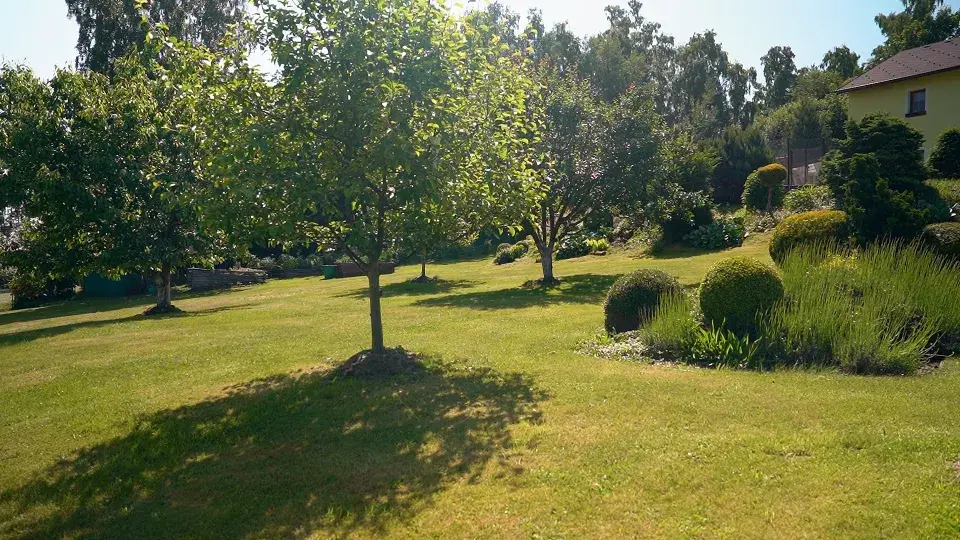 Zahrada Benešov nad Černou