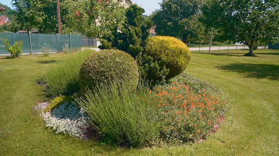 Zahrada Benešov nad Černou