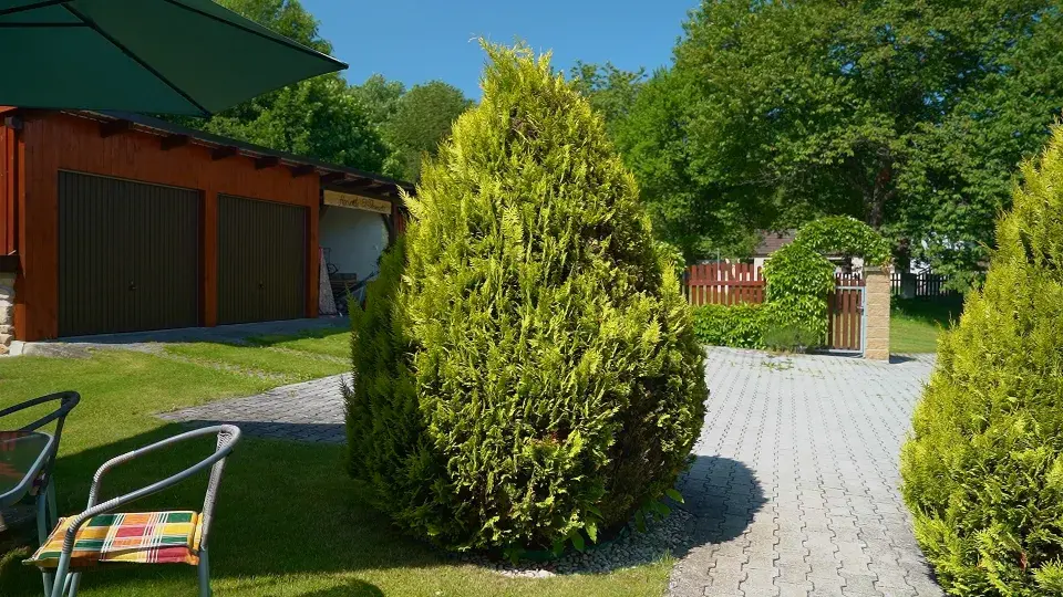 Zahrada Benešov nad Černou