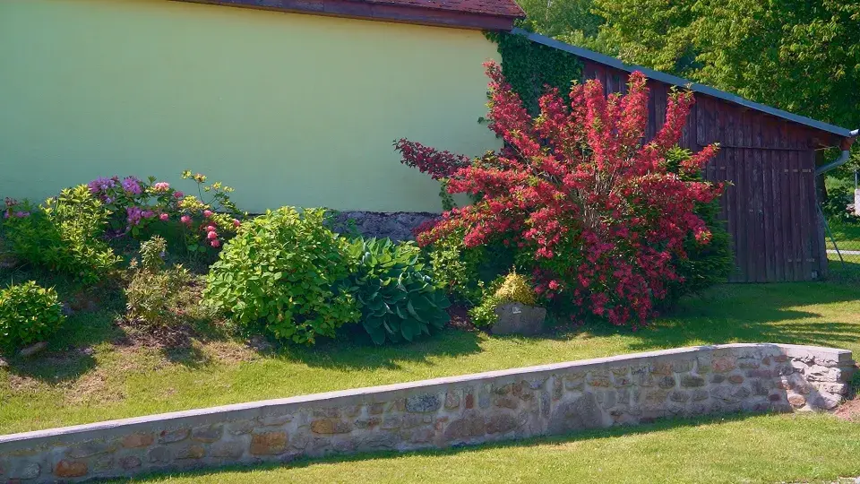 Zahrada Benešov nad Černou