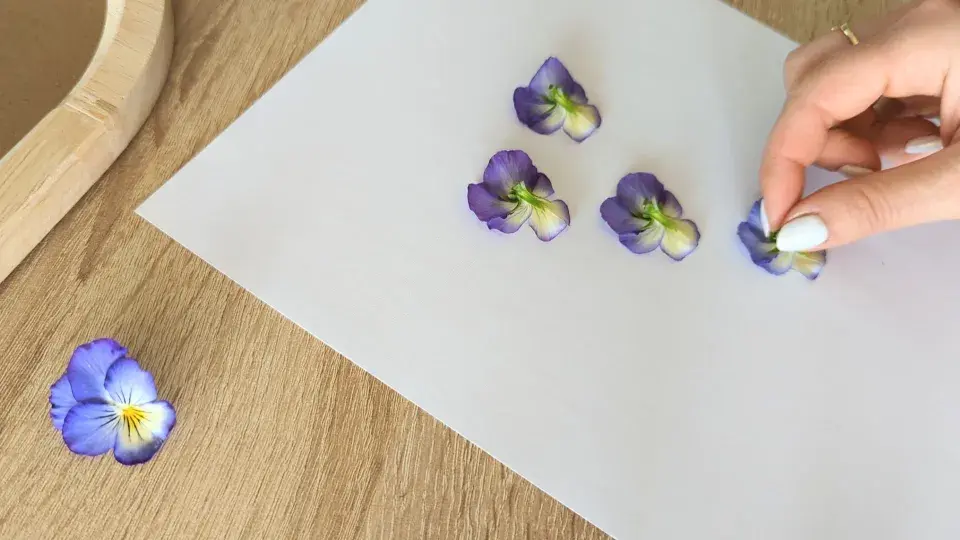 DIY: Tvoření s květinami