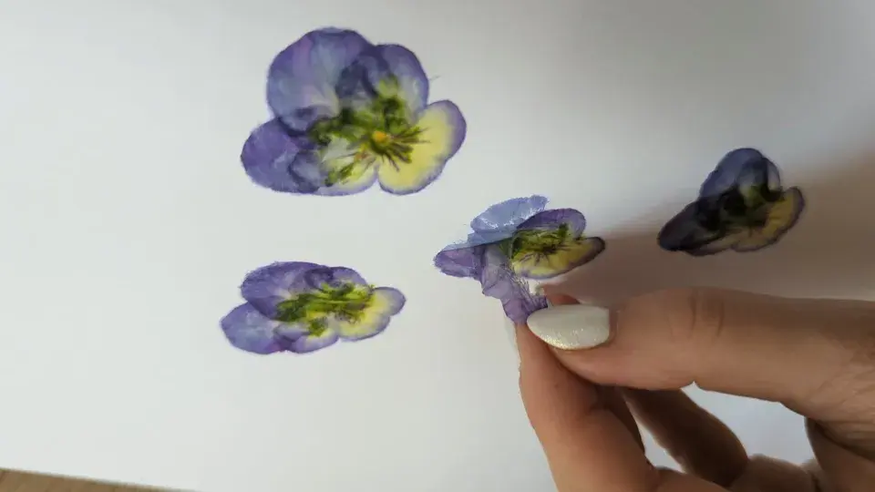 DIY: Tvoření s květinami