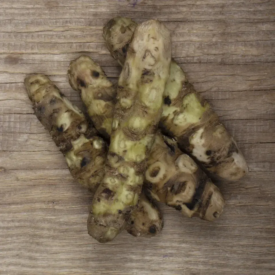 Japonský křen wasabi (Wasabia japonica)