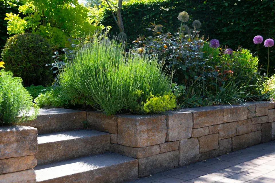 Středomořská zahrada