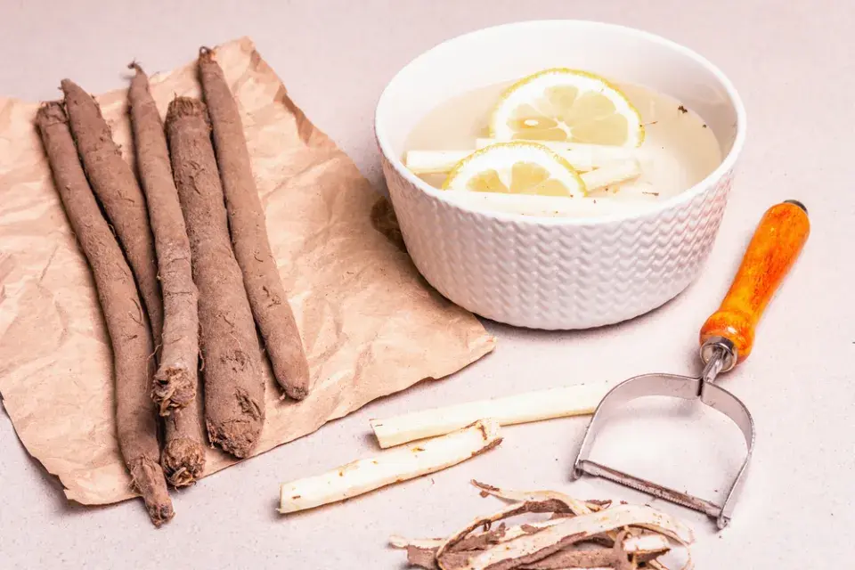 Černý kořen (Scorzonera hispanica)