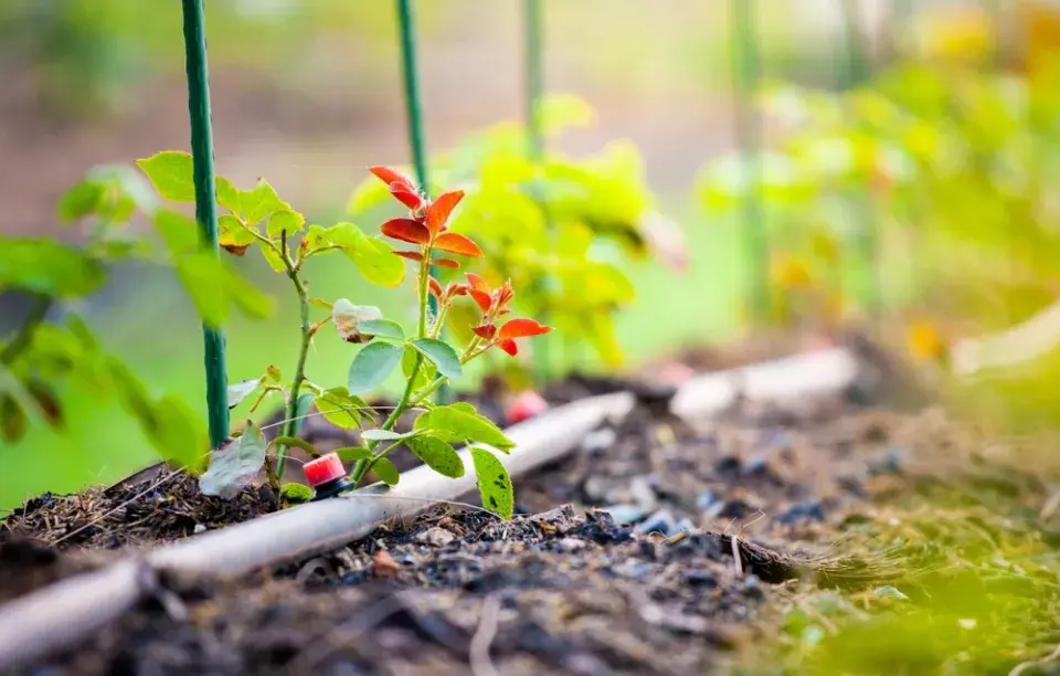 Biouhel v zemědělství 