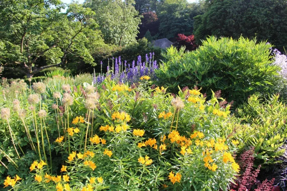 Okrasná zahrada v anglickém stylu