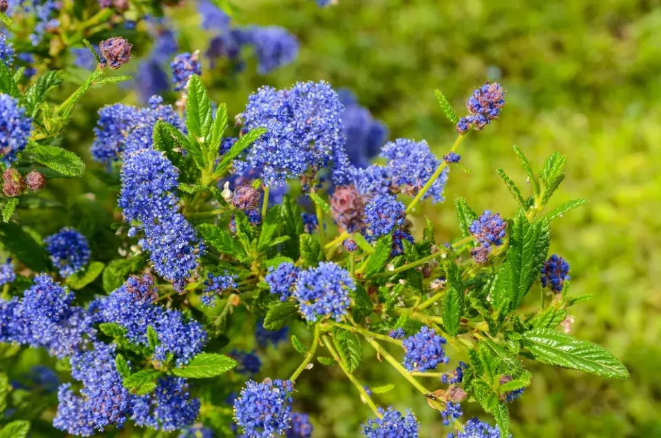 Latnatec neboli zpododěr