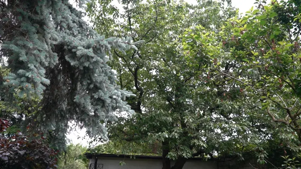 Zahrada Heleny Vondráčkové