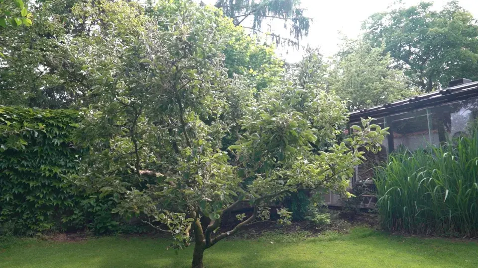 Zahrada Heleny Vondráčkové