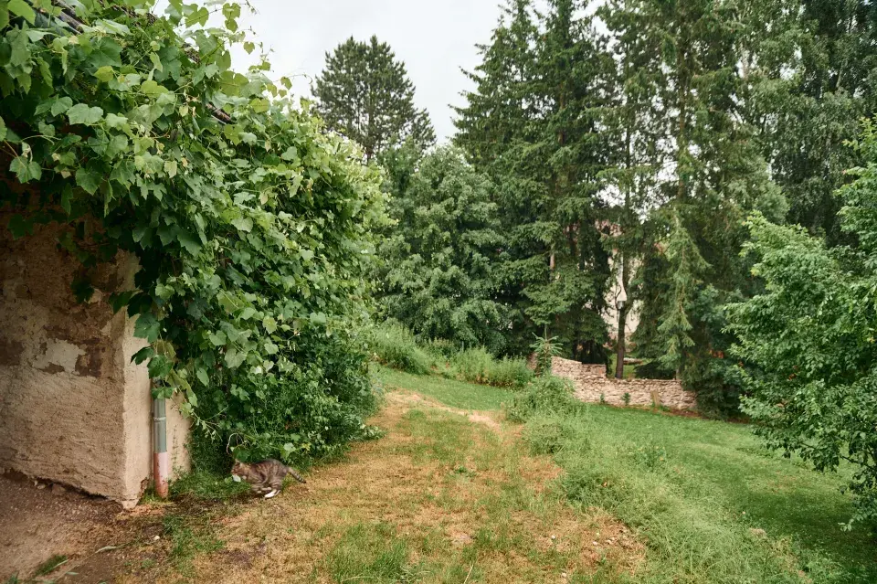 Zahrada Pavla Berkyho