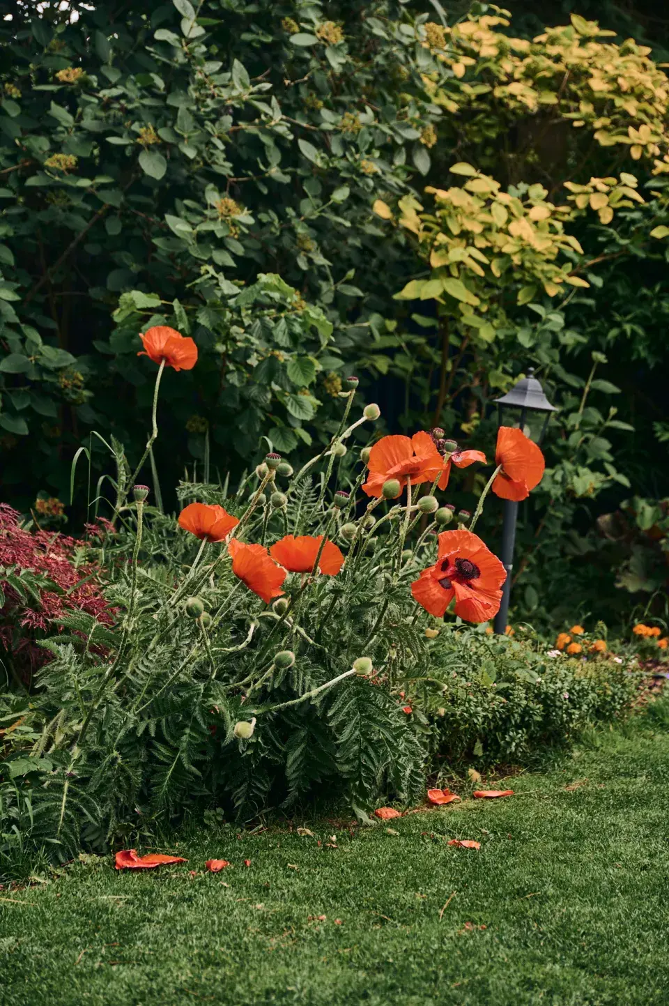 Zahrada Heleny Vondráčkové