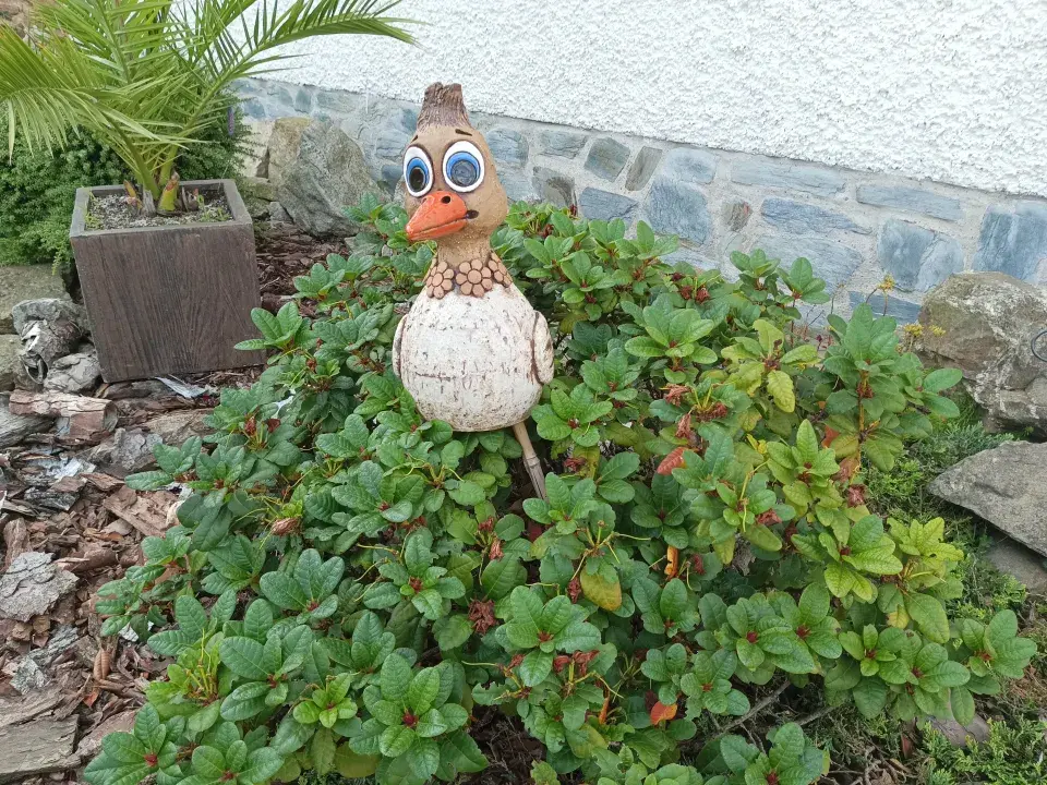 Zahrada v Kladrubech