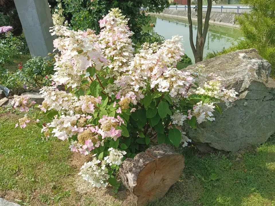 Zahrada v Kladrubech