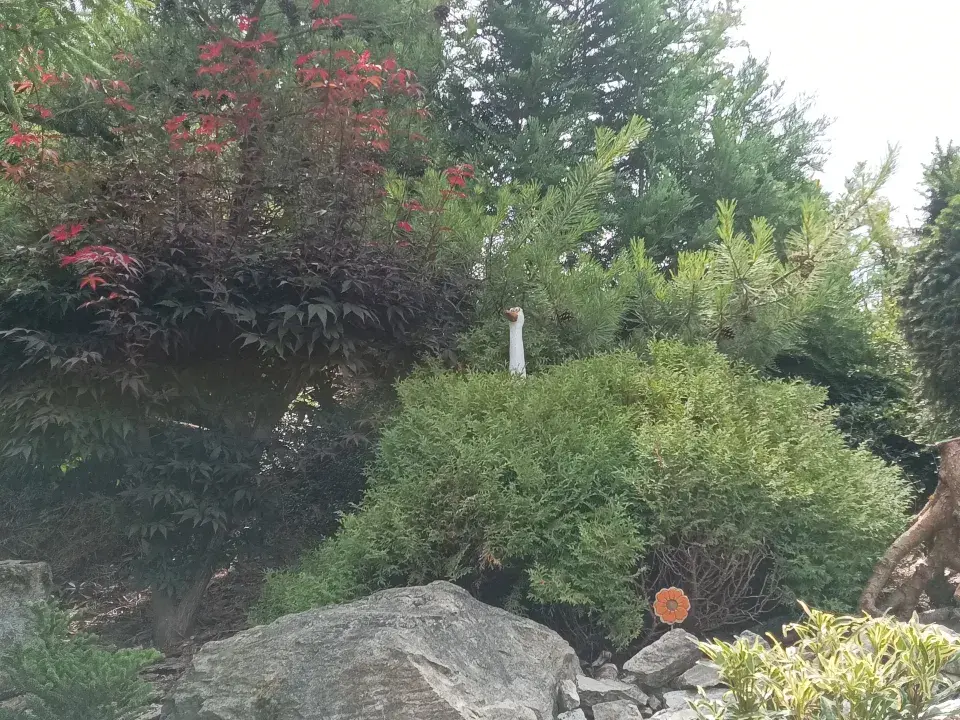 Zahrada v Kladrubech