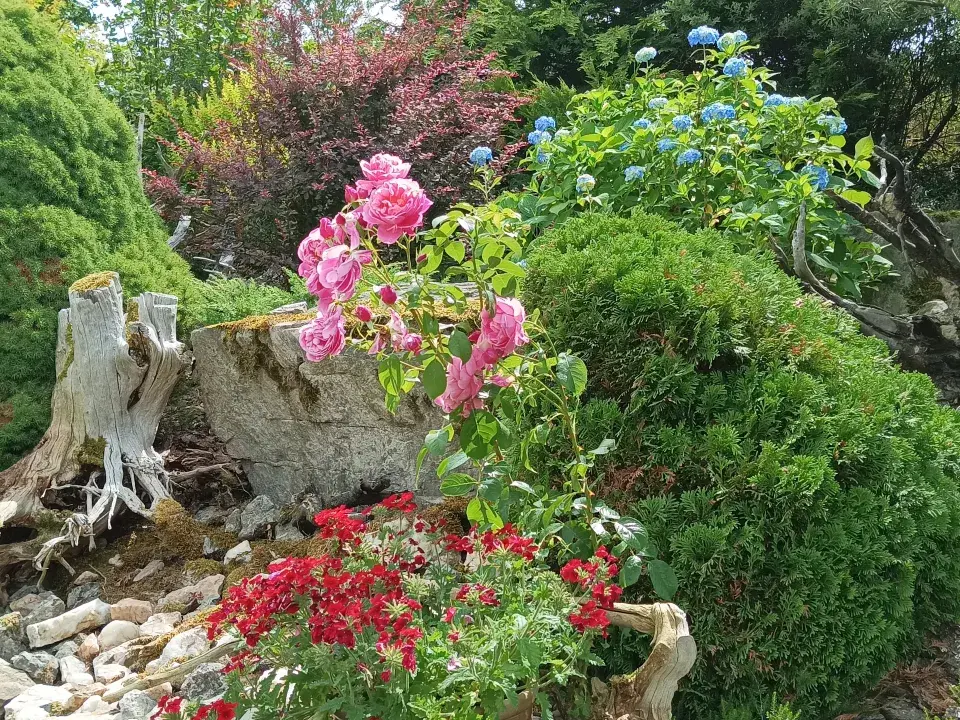 Zahrada v Kladrubech