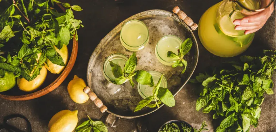 Osvěžující letní nápoje