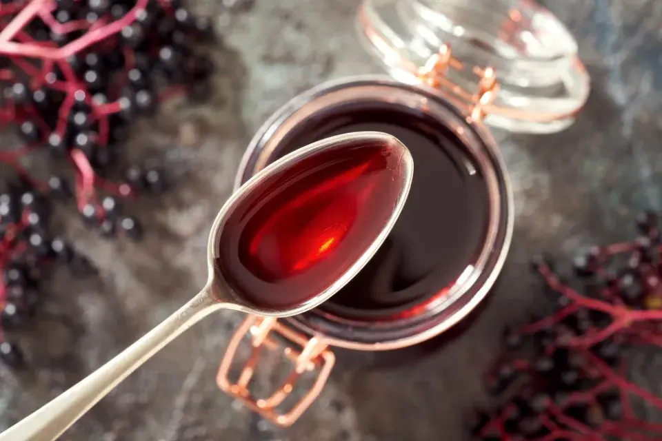 Černý bez (Sambucus nigra) 