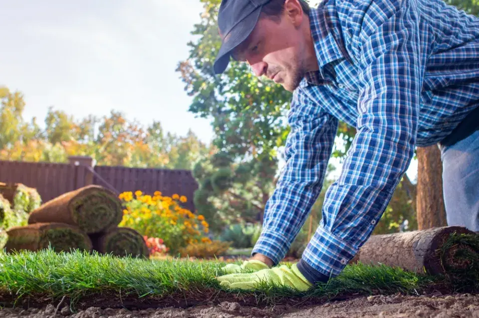 Pokládka travního koberce