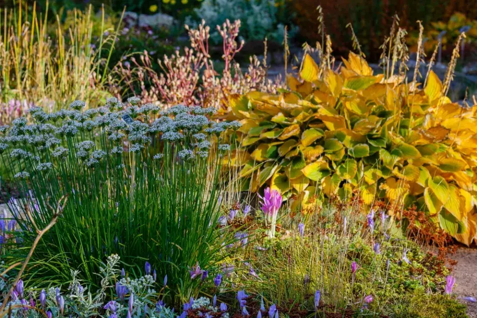 Udržitelné květinové záhony