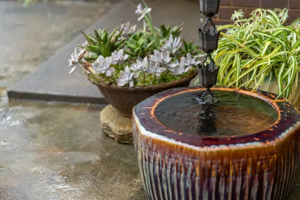 Dešťová zahrada v kontejneru