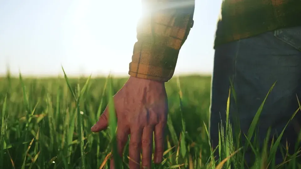 Péče o trávník v září