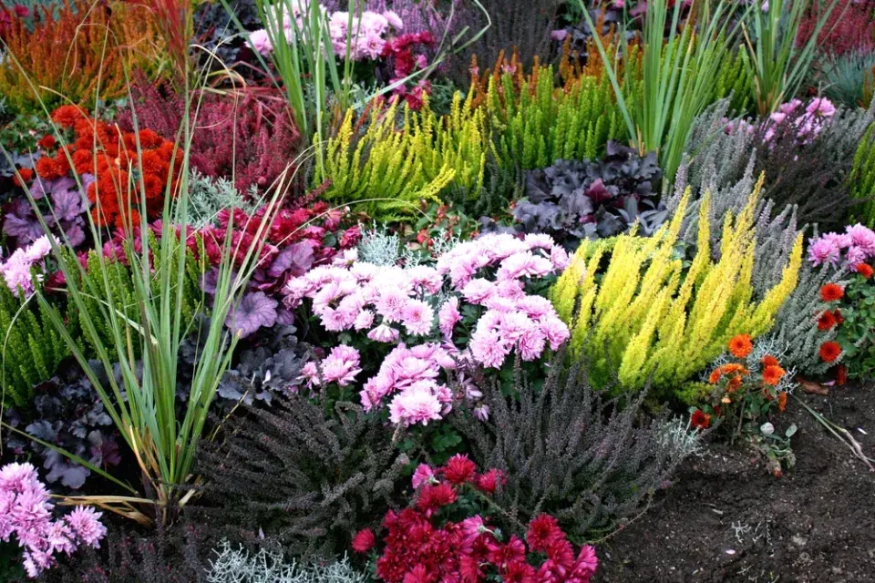 Udržitelné květinové záhony