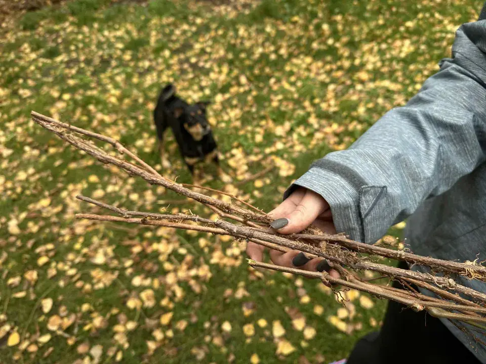 věnec z přísavníku DIY