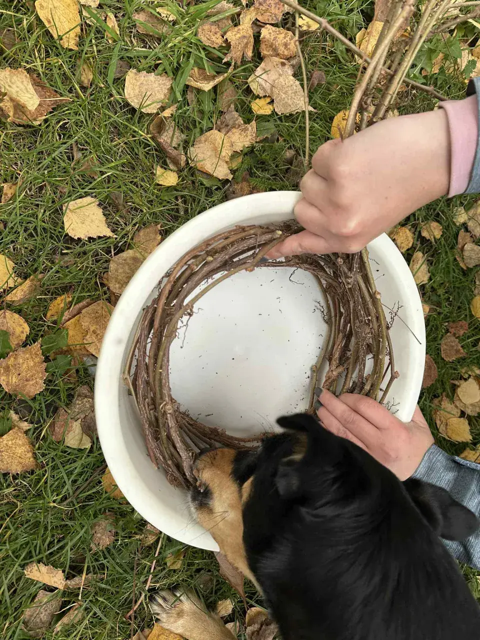 věnec z přísavníku DIY