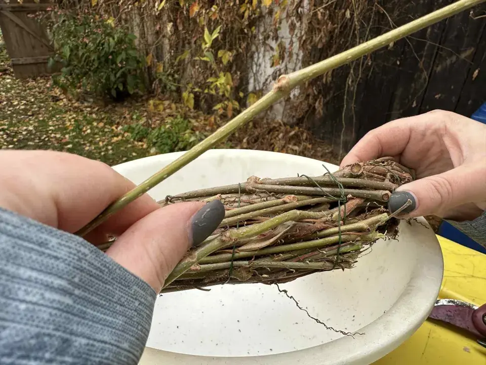 věnec z přísavníku DIY