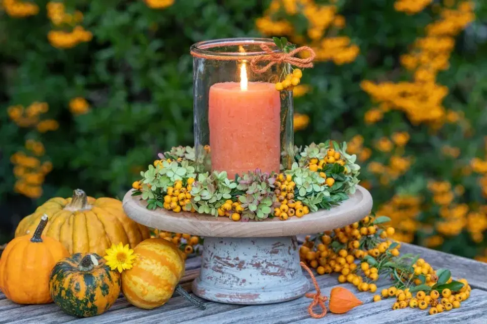 Keře s barevnými plody