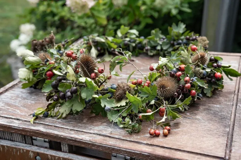Keře s barevnými plody