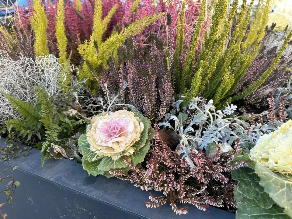 zimní truhlíky ve městě